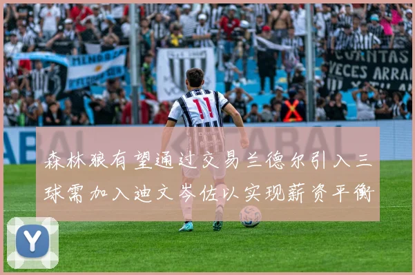 森林狼有望通过交易兰德尔引入三球需加入迪文岑佐以实现薪资平衡